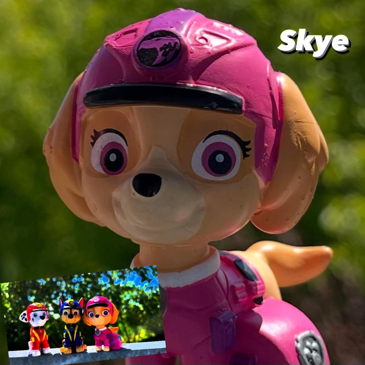 Helfer auf vier Pfoten