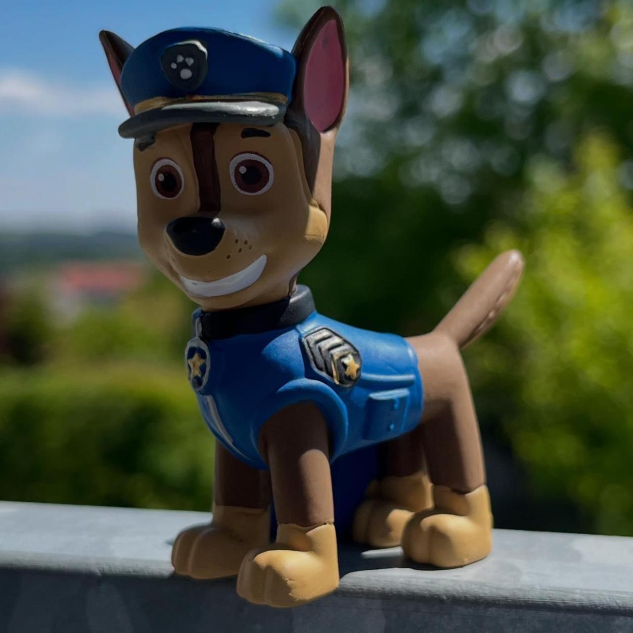 Helfer auf vier Pfoten