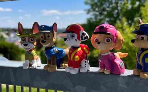 Helfer auf vier Pfoten